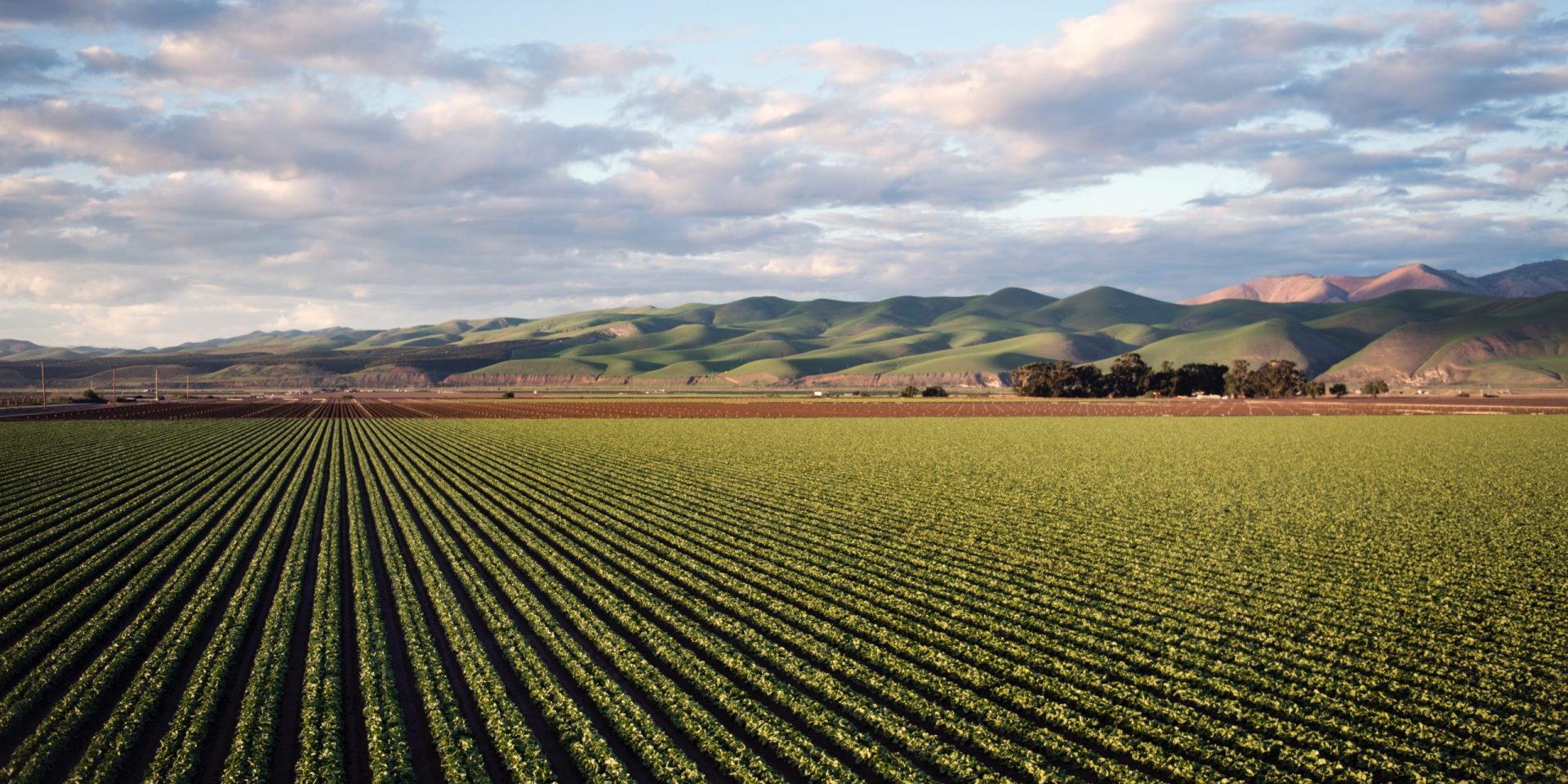 Precision Agriculture Farm Field
