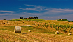 Farmland Precision Farming Agrilyze