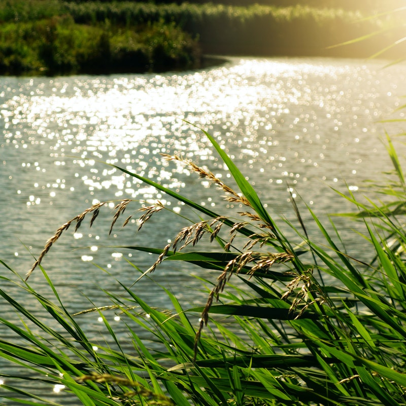 water mapping data farm bc canada agrilyze