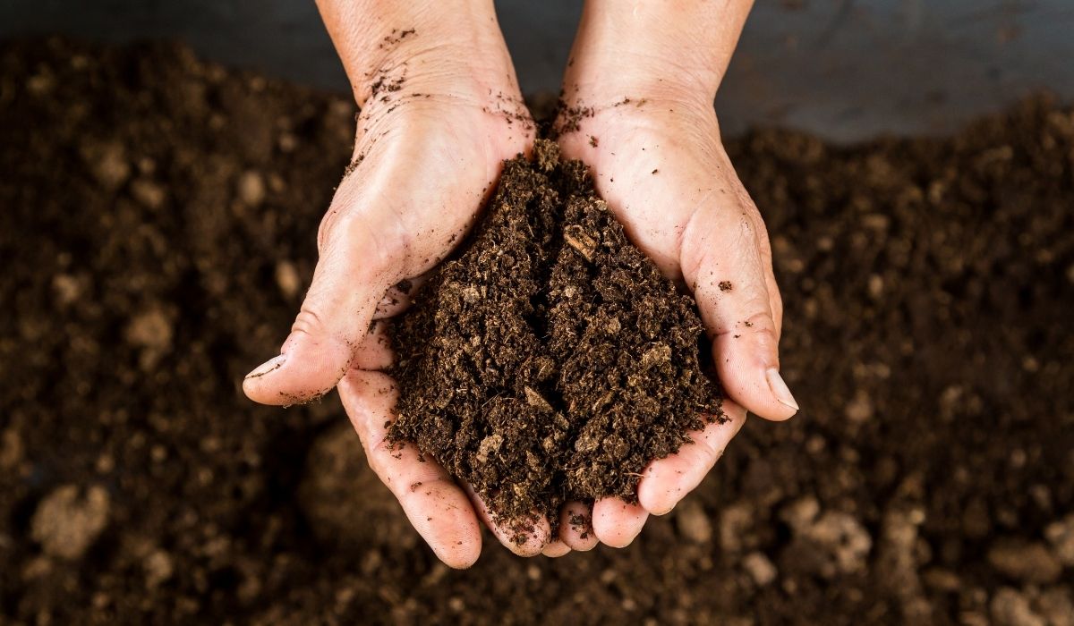 composting hands holding dirt