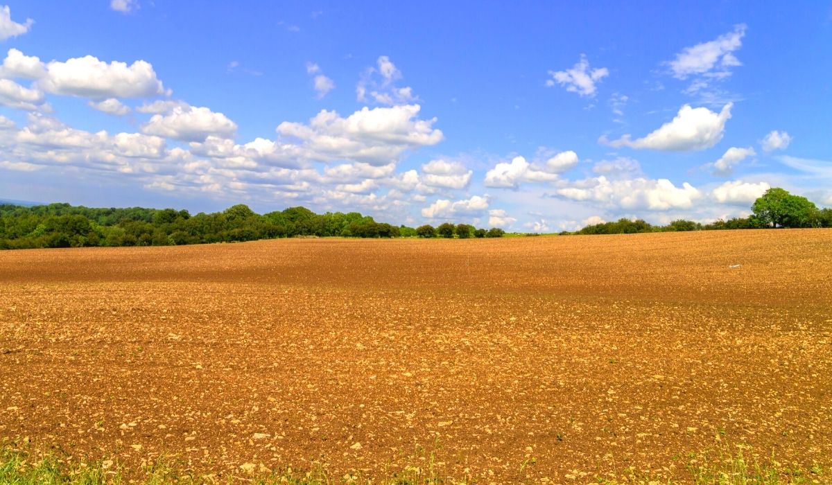 soil testing dirt field