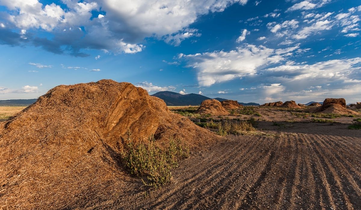Manure Piles Nutrient Application & Management