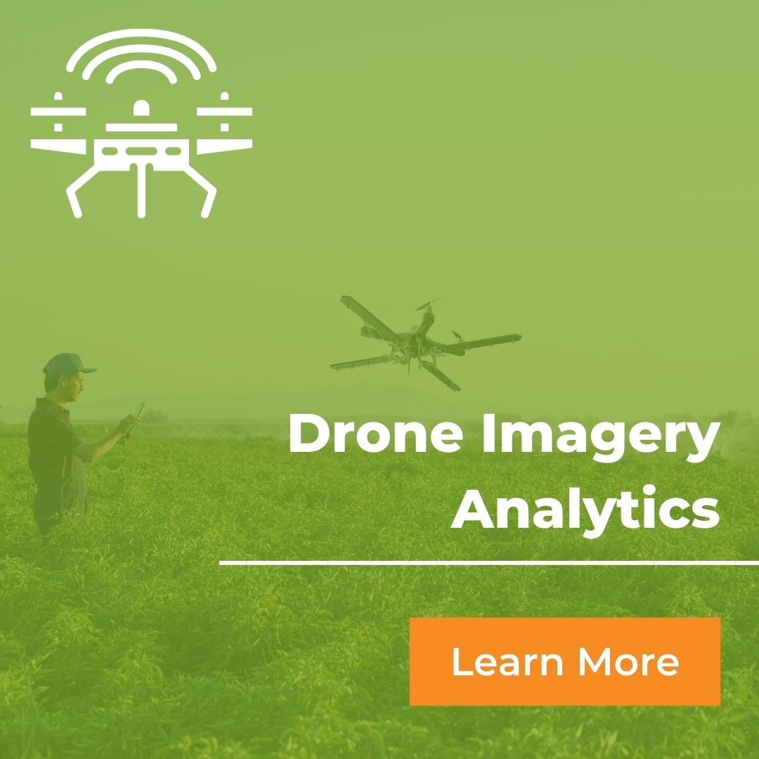 Drone Imagery Analytics