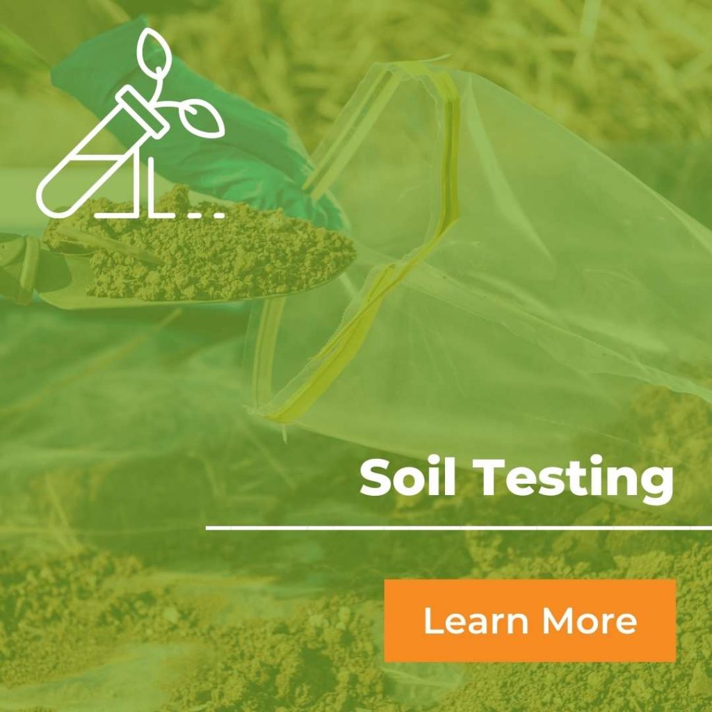 Agrilyze soil testing graphic in green