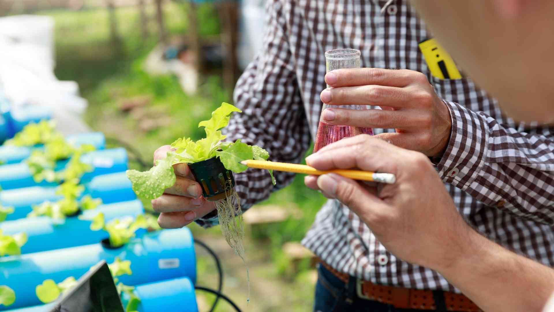 Crop Management with farm tech