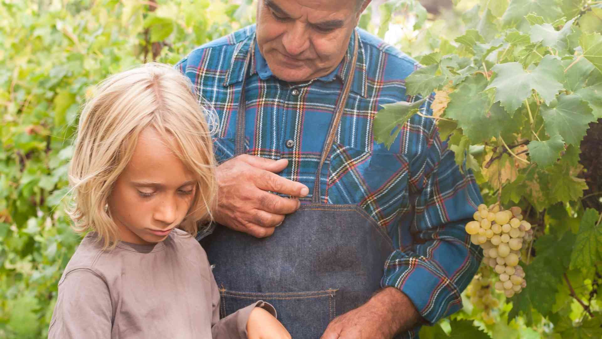 Family farm