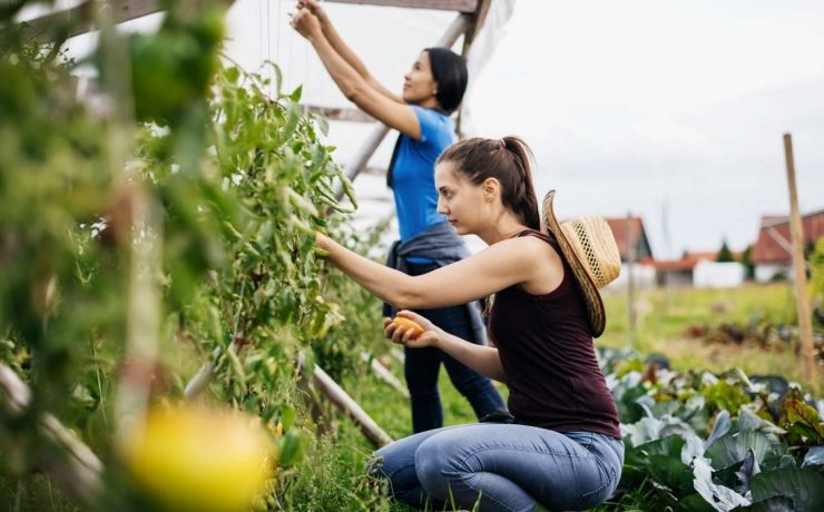 two women farming