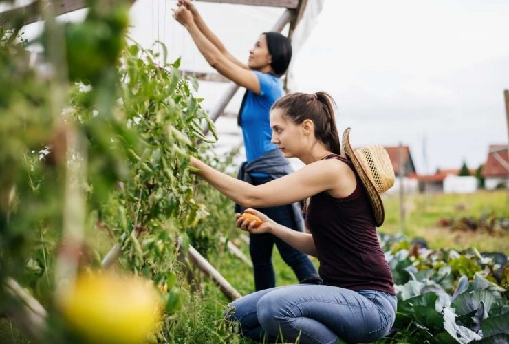 two women farming