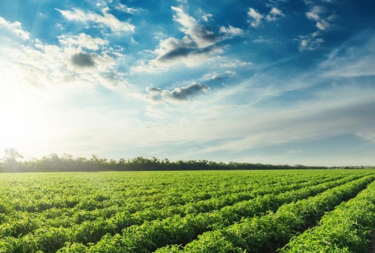 i-Open Technologies Receives $500K BC Agritech Grant to Further Develop Agrilyze Platform